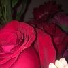 melissa_flippen